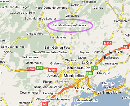St Mathieu de Tr�viers : � 20 min au Nord de Montpellier